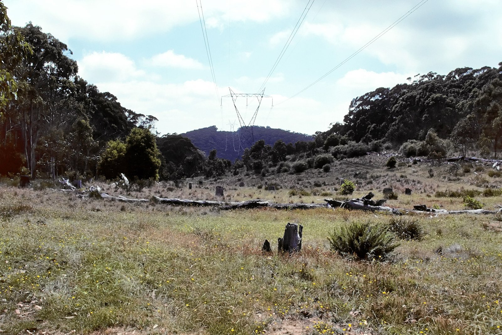 Field site Brindabella Range-min