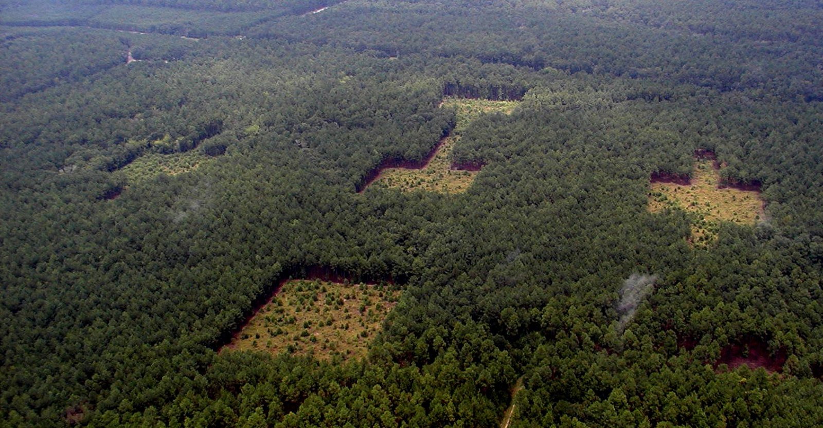 aerial photo from Ellen 2016